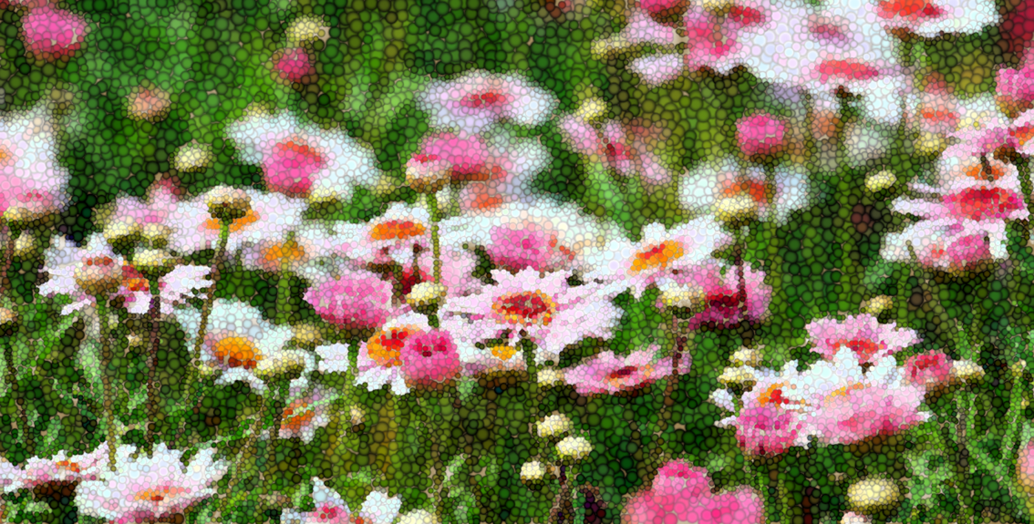 Marguerite -Warm Scent