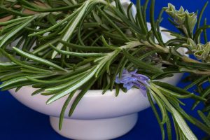 Fresh rosemary in a bowl, close enough you can smell it!